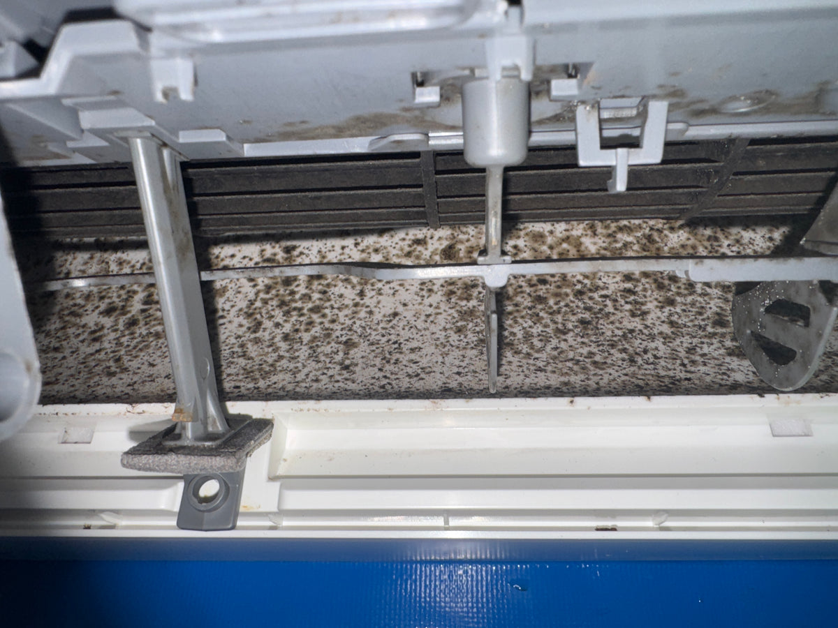Before cleaning: 1 split system deep cleaned - Mould + Dust